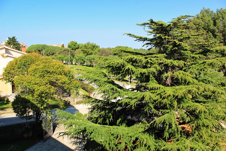 Апартаменты Irena