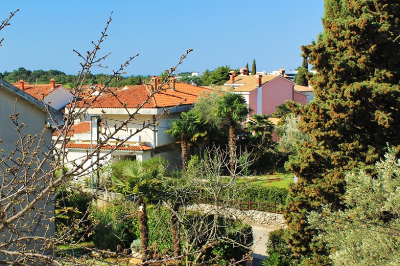 Апартаменты Irena