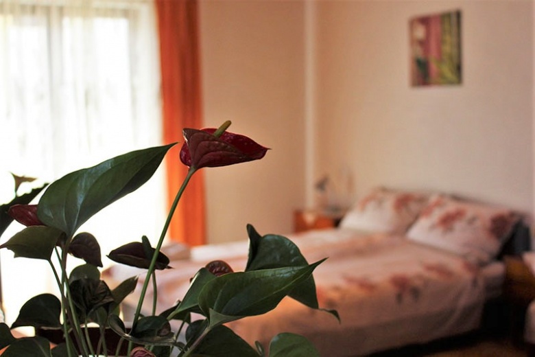 Апартаменты Sandro